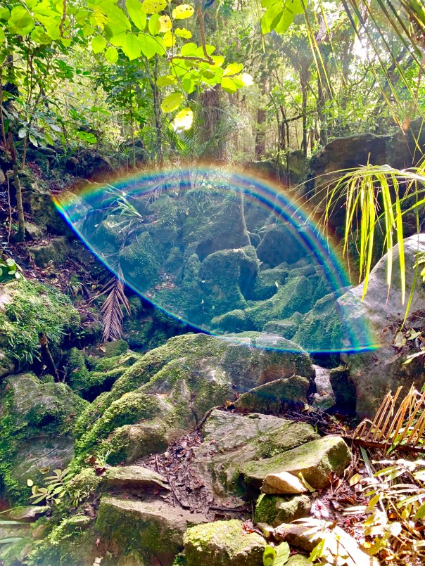 ED550464-445C-4D73-AA02-04584ACE91F4